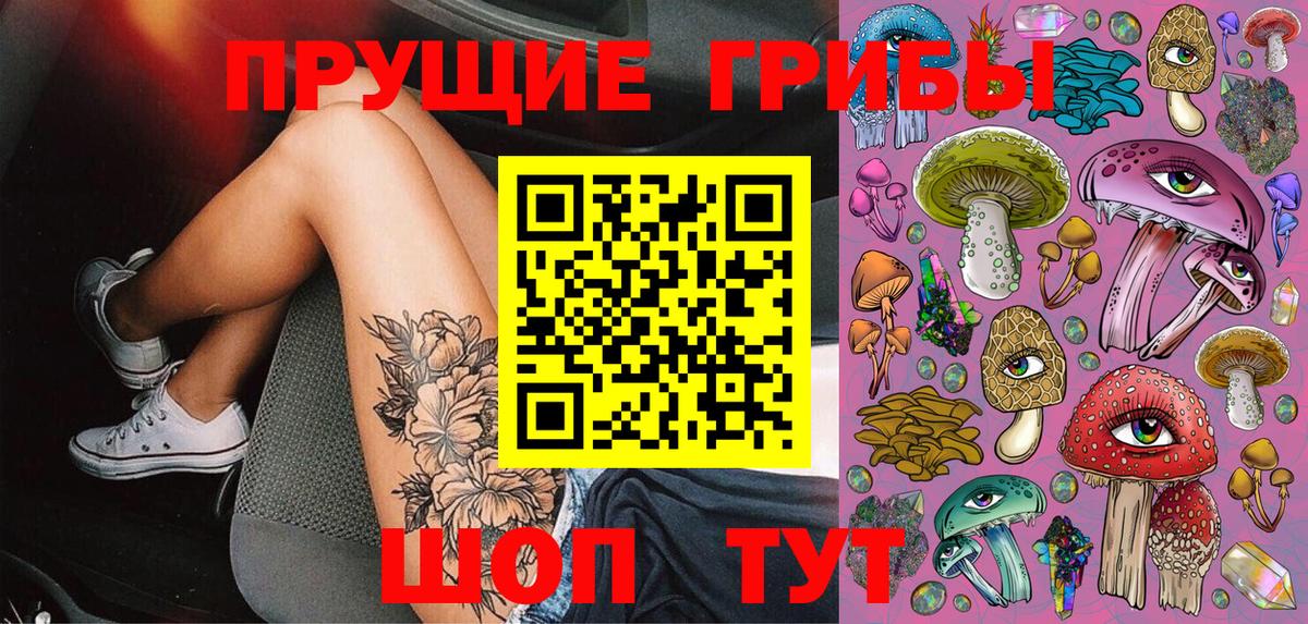 Псилоцибиновые грибы Psilocybine cubensis Шелехов