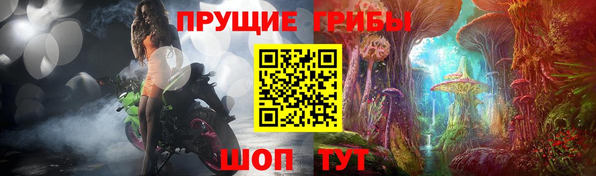 купить наркотик  Вход с VPN  Шелехов  Галлюциногенные грибы MAGIC MUSHROOMS 