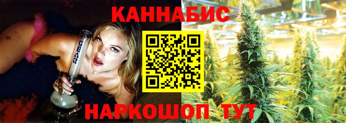 Каннабис планчик Шелехов